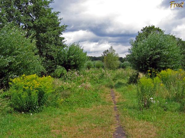 Wanderweg