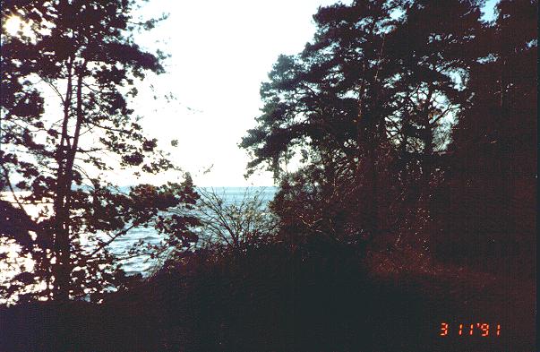 Sonne gltzert auf dem See