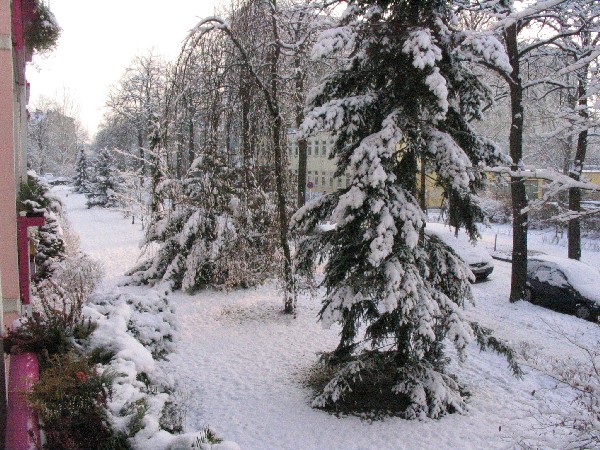 verschneiter Myliusgarten